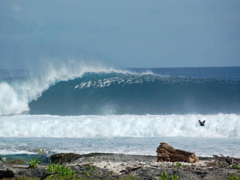Salah satu potensi pariwisata Nias, ombak untuk surfing. —Foto: http://primakristianhia.blogspot.co.id/