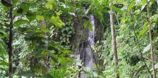 Menyibak Keindahan Tersembunyi Air Terjun Samiri