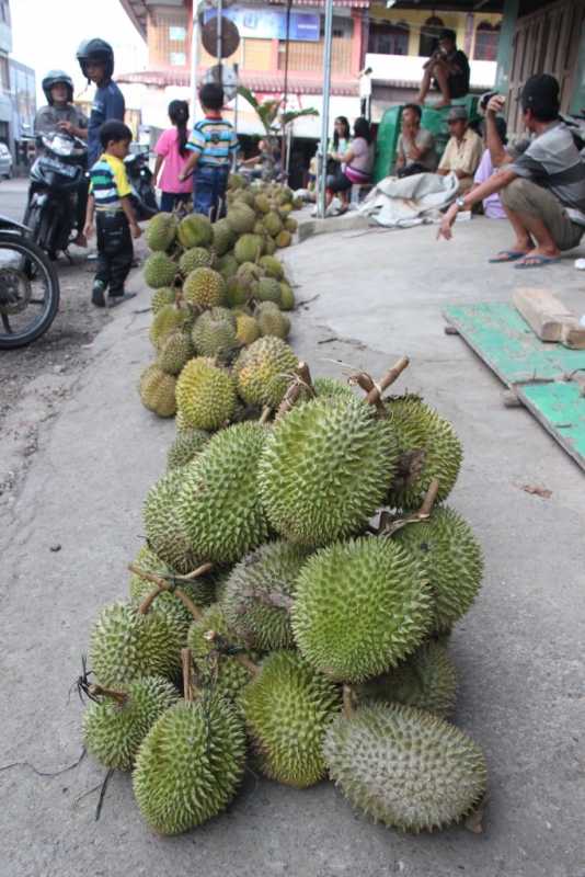 Durian Nias 1-min