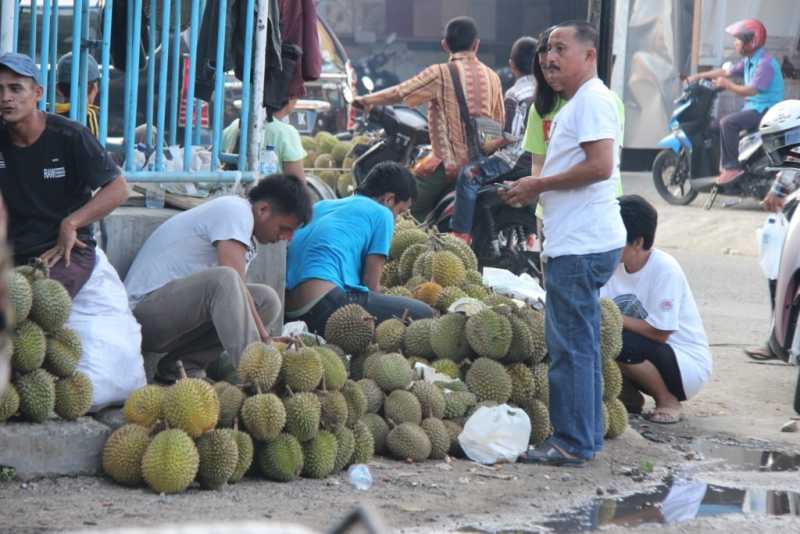 Durian Nias 2-min