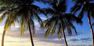 Empat Langkah Sukses Pemda Menarik Investor ke Pulau Nias