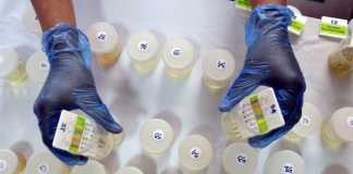 Pejabat Seyogianya Beri Panutan