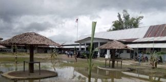 Halaman Kampus Ditanami Pisang, Respons Yaperti Nias Dipertanyakan