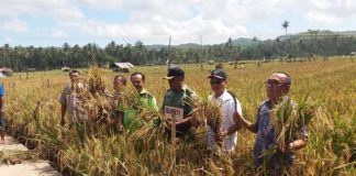Sistem Pengairan di Setiap Areal Sawah di Nias Selatan Akan Dibangun