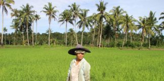 Pemkab Nias Barat Kurangi Anggaran Program Pro-Rakyat?