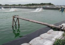 Membangun Agro-Mina-Wisata di Kepulauan Nias