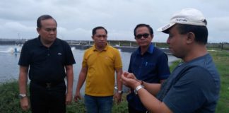 Potensi Budidaya Udang di Pulau Nias Perlu Dijajaki