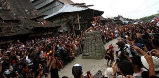 Bentuk Segera Lembaga Pengembangan Pariwisata Kepulauan Nias