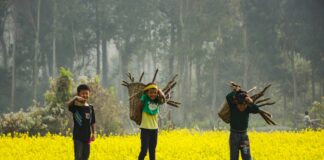 Jadikan Desa sebagai Sentral Pembangunan, Christ-Full Dinanti Masyarakat Kabupaten Nias