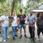 Kepiting Bakau
