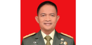 Mantan Pangdam I/BB Hasanudin Ditunjuk Jadi Pj Gubernur Sumut